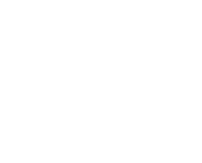 Camila Ferreira Advogada